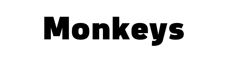 Freeroad Black  Free Fonts Download
