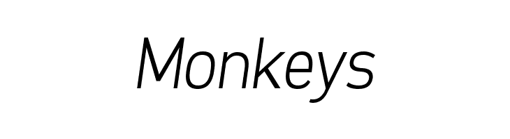 Freeroad Light Italic  Free Fonts Download