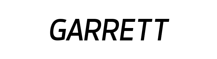 Dyno Italic  Free Fonts Download