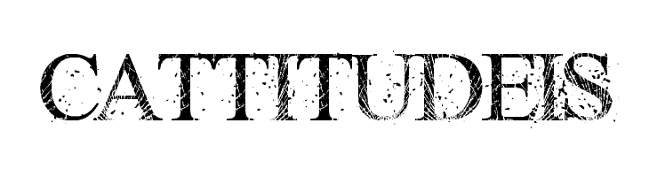 RIOT GLASS  Free Fonts Download