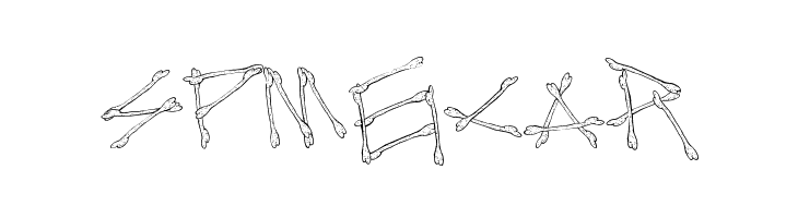 MegaBone  Free Fonts Download