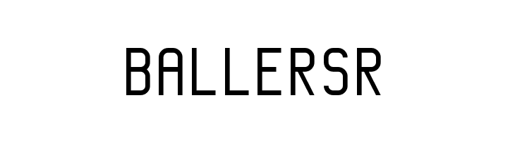 KP Programmer NBP  Free Fonts Download