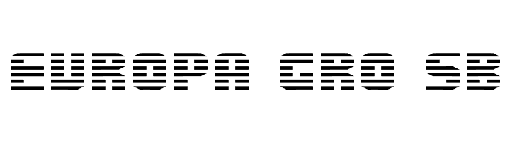 Enduro  Free Fonts Download