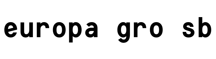 Consola Mono Bold  Free Fonts Download