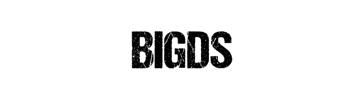 BIGDS DCC-Ash Font
