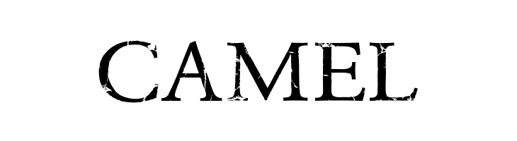 Dust Overhaul  Free Fonts Download