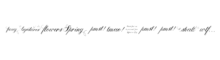 Calissa Words  Free Fonts Download