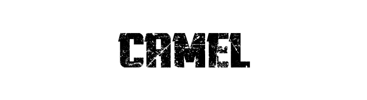 Twisted Stallions  Free Fonts Download