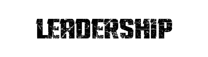 Twisted Stallions  Free Fonts Download