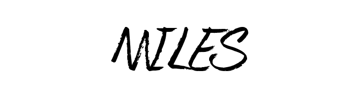 Spring Cleaning  Free Fonts Download