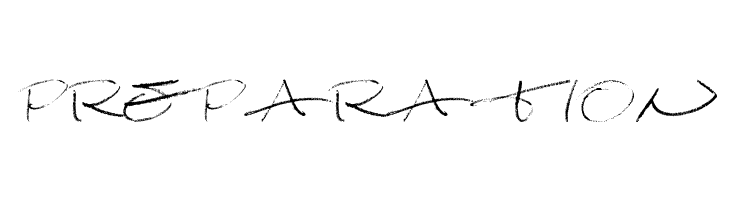 Damagrafik Script Regular  Free Fonts Download
