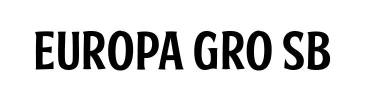 FTY SKRADJHUWN NCV 2  Free Fonts Download
