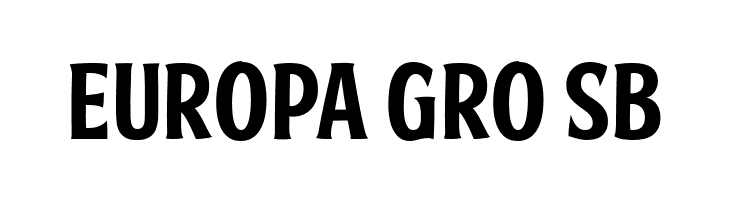 FTY SKRADJHUWN NCV 1  Free Fonts Download