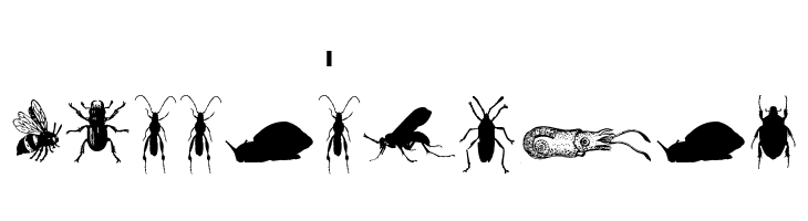 Grissom Free  Free Fonts Download