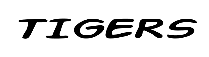 Action Man Extended Italic  Free Fonts Download