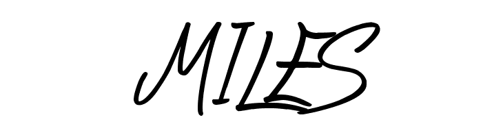 Silent Reaction  Free Fonts Download