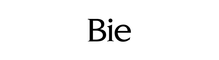 NovemberMedium Normal  Free Fonts Download