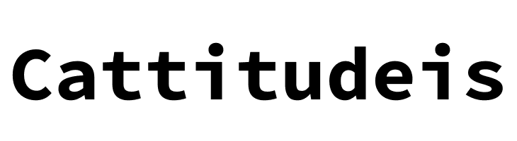 Source Code Pro Bold  Free Fonts Download