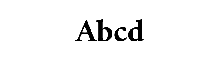Amiri Bold  Free Fonts Download