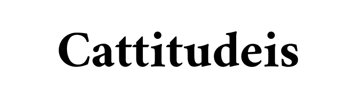 Amiri Bold  Free Fonts Download