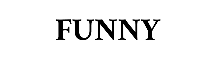 Amiri Bold  Free Fonts Download