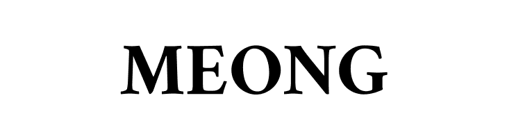 Amiri Bold  Free Fonts Download