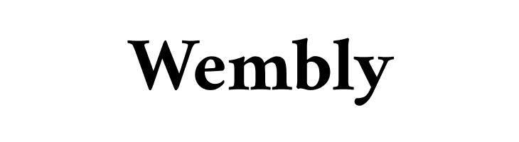 Amiri Bold  Free Fonts Download