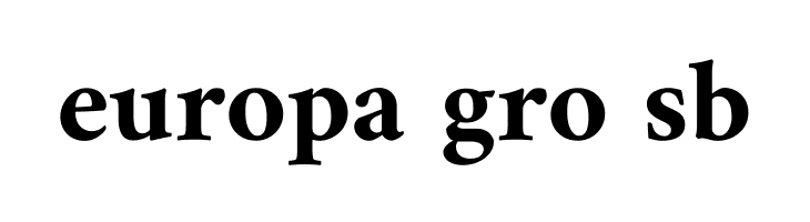 Amiri Bold  Free Fonts Download