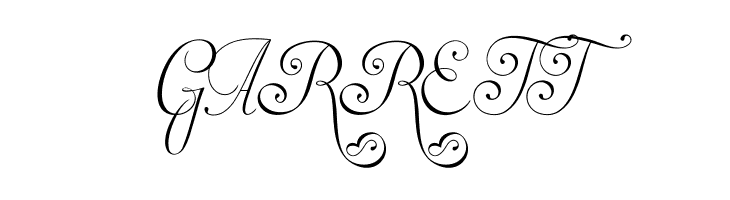 Invitation Script LIMITED FREE VERSION  Free Fonts Download