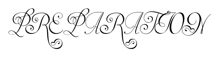 Invitation Script LIMITED FREE VERSION  Free Fonts Download