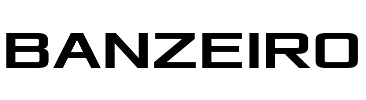 Xolonium Bold  Free Fonts Download