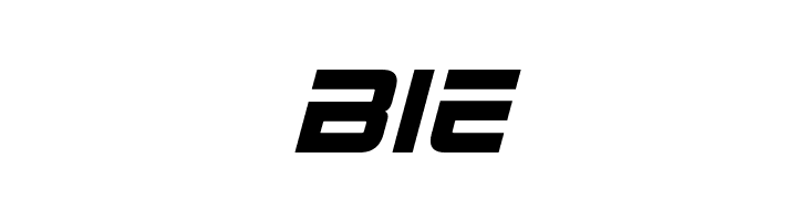 2015 Cruiser Bold Italic  Free Fonts Download