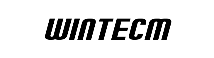 Erte Italic  Free Fonts Download