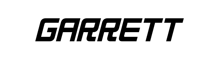 Neo Gen Bold Italic  Free Fonts Download