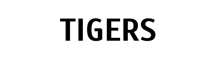 Scada Bold  Free Fonts Download