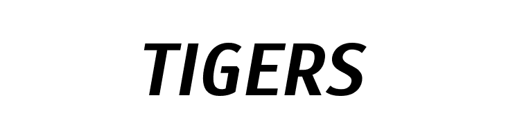 Scada Bold Italic  Free Fonts Download