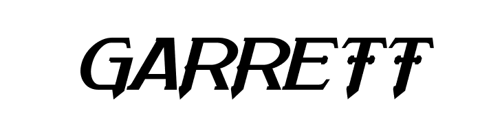 Arneson Bold Italic  Free Fonts Download