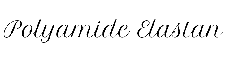 Polyamide%2BElastan Petit Formal Script Font