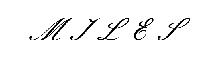 Meie Script  Free Fonts Download