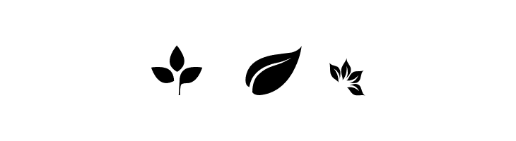 Leafs  Free Fonts Download