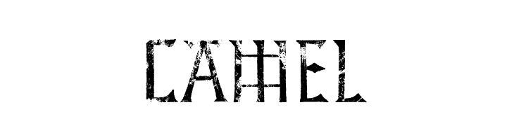 Hidden Archives  Free Fonts Download