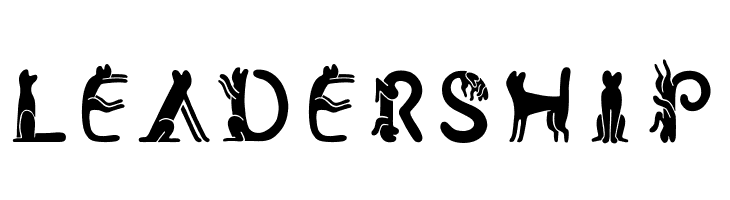 Cat Font  Free Fonts Download