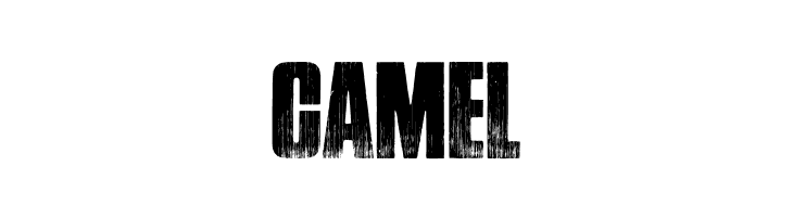 Google spies  Free Fonts Download