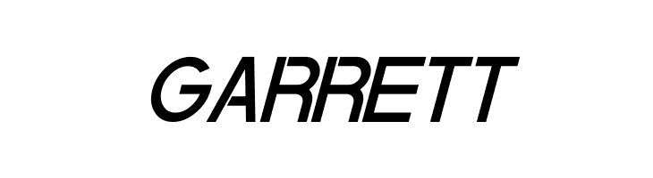 Quantum Italic  Free Fonts Download