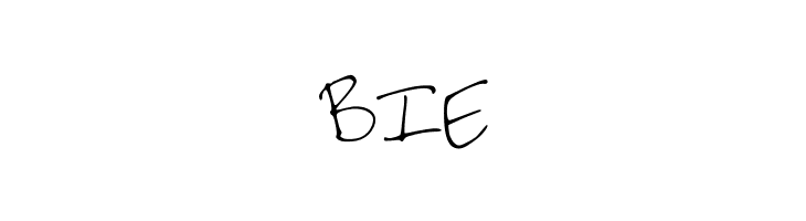 BRANDEEZFONTV2  Free Fonts Download