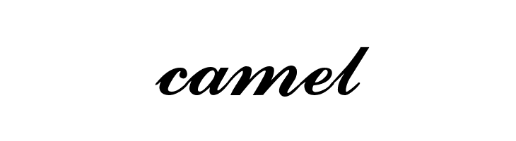 CounselorScript Medium  Free Fonts Download