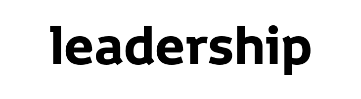 Toyota Display Bold  Free Fonts Download