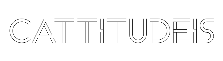 Arenq  Free Fonts Download