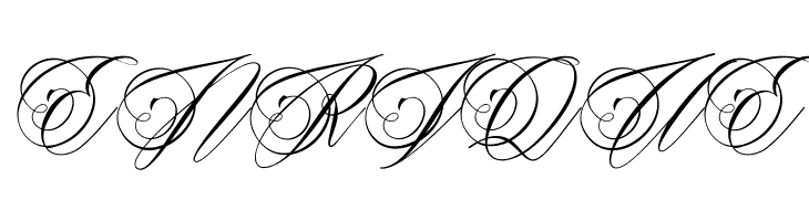 Beaked Tyrant Personal Use  Free Fonts Download