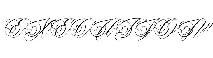 Beaked Tyrant Personal Use  Free Fonts Download